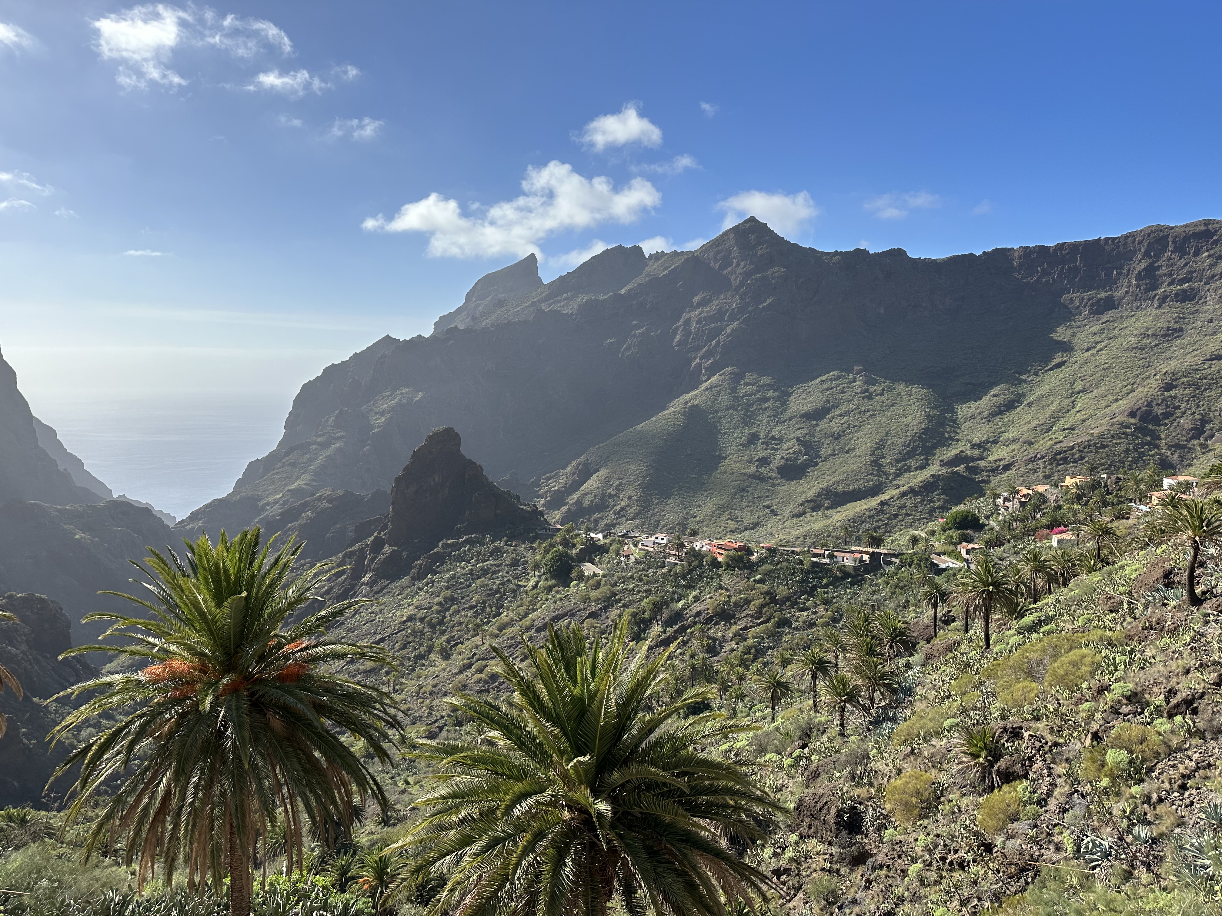 En plats kvar till 1000 kurvor på Teneriffa i november