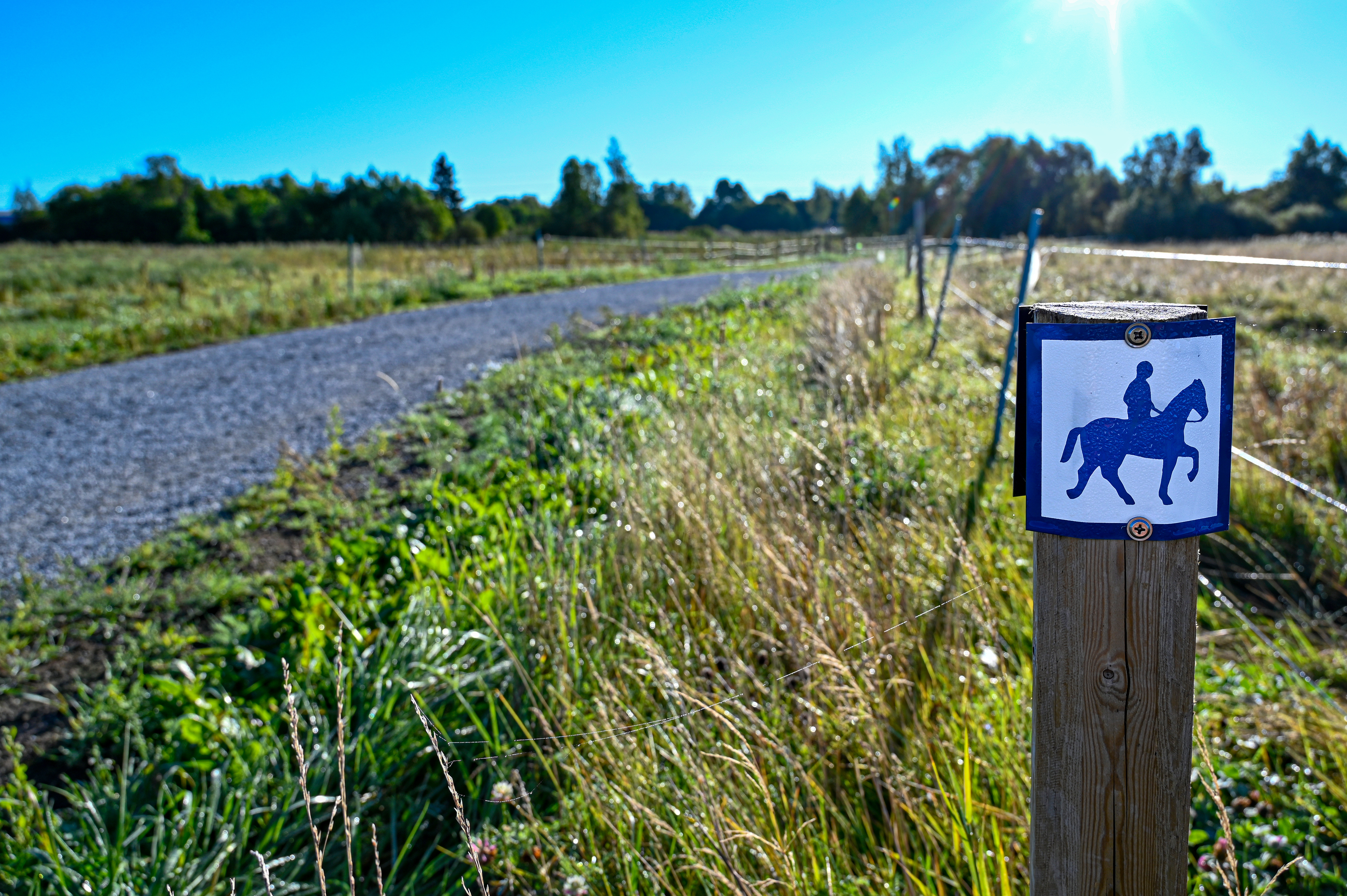 SMC uppmanar till extra hänsyn vid möte med hästar i trafiken