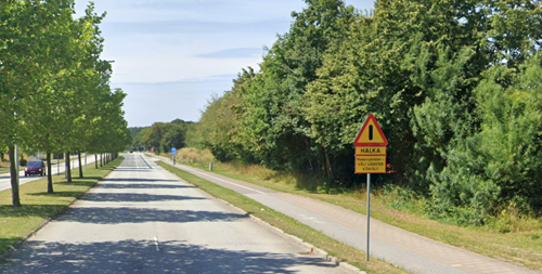 Elskenan är en trafiksäkerhetsfara